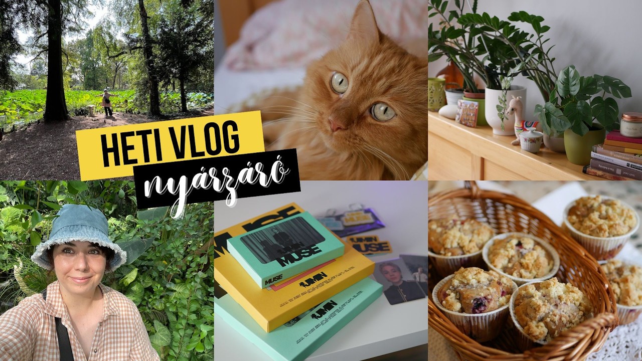 Nyárzáró Vlog Kalandok ☀️🏖️ | receptek, cicás pillanatok 🐱 & mindenféle apróság!