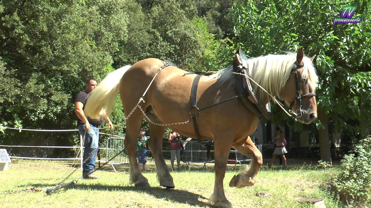 Fête BIO à Correns