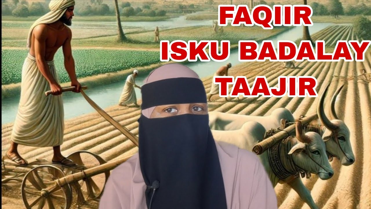 # QASADA DAMIIN.   DUCADIISA ALLE AQBALAY!@canabchannel1
