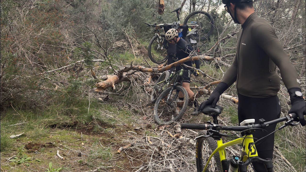 Salida con amigos (caídas risas sendas)
