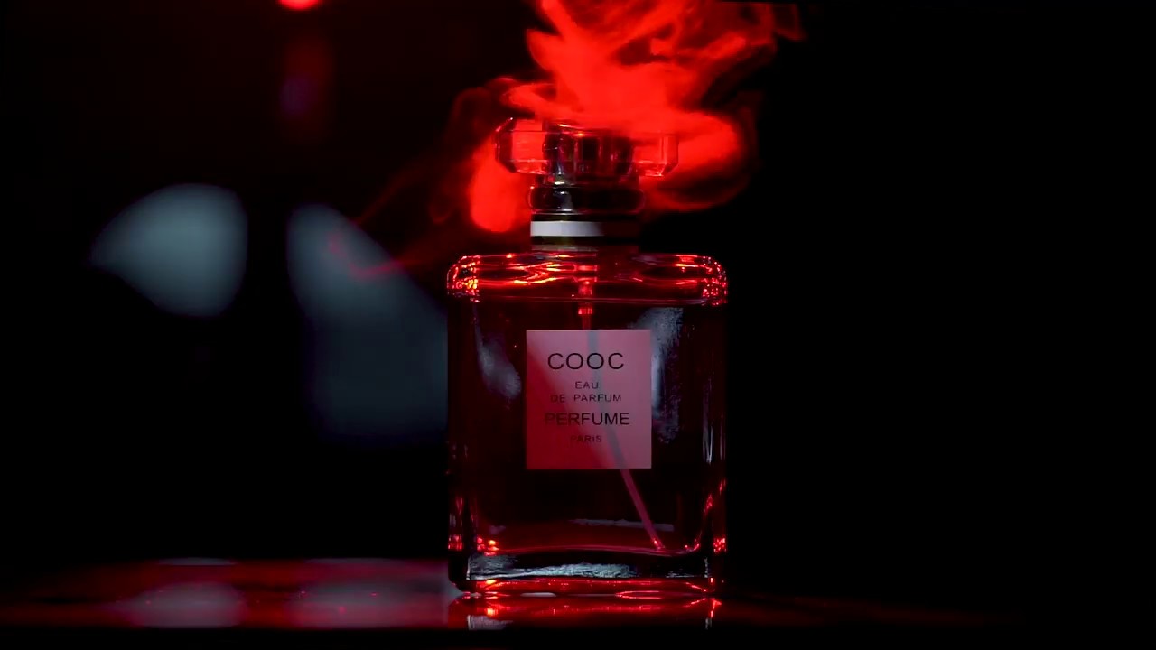 CHANEL   COCO2