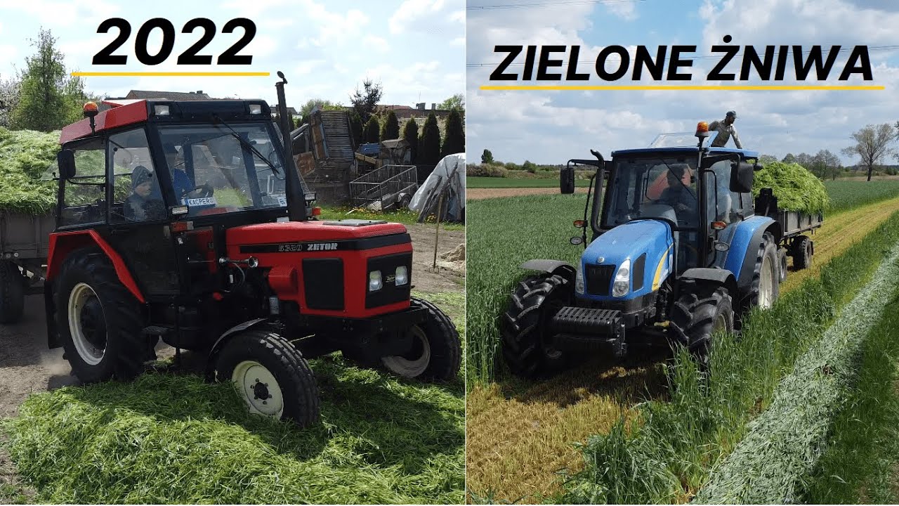 Zielone żniwa 2022 czyli żyto na kiszonkę | Zetor na pryzmie ?? | New Holland i orkan w akcji | :)