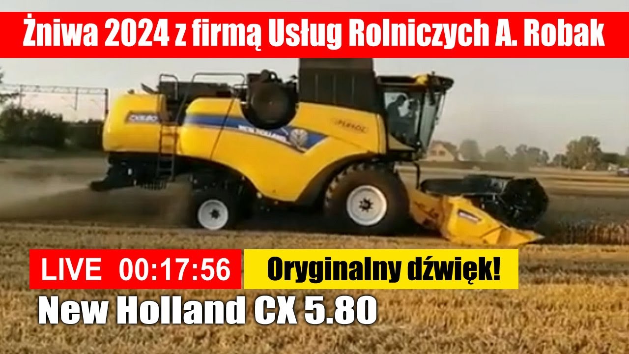 New Holland CX 5.80, żniwa 2024 – LIVE z oryginalnym dźwiękiem!
