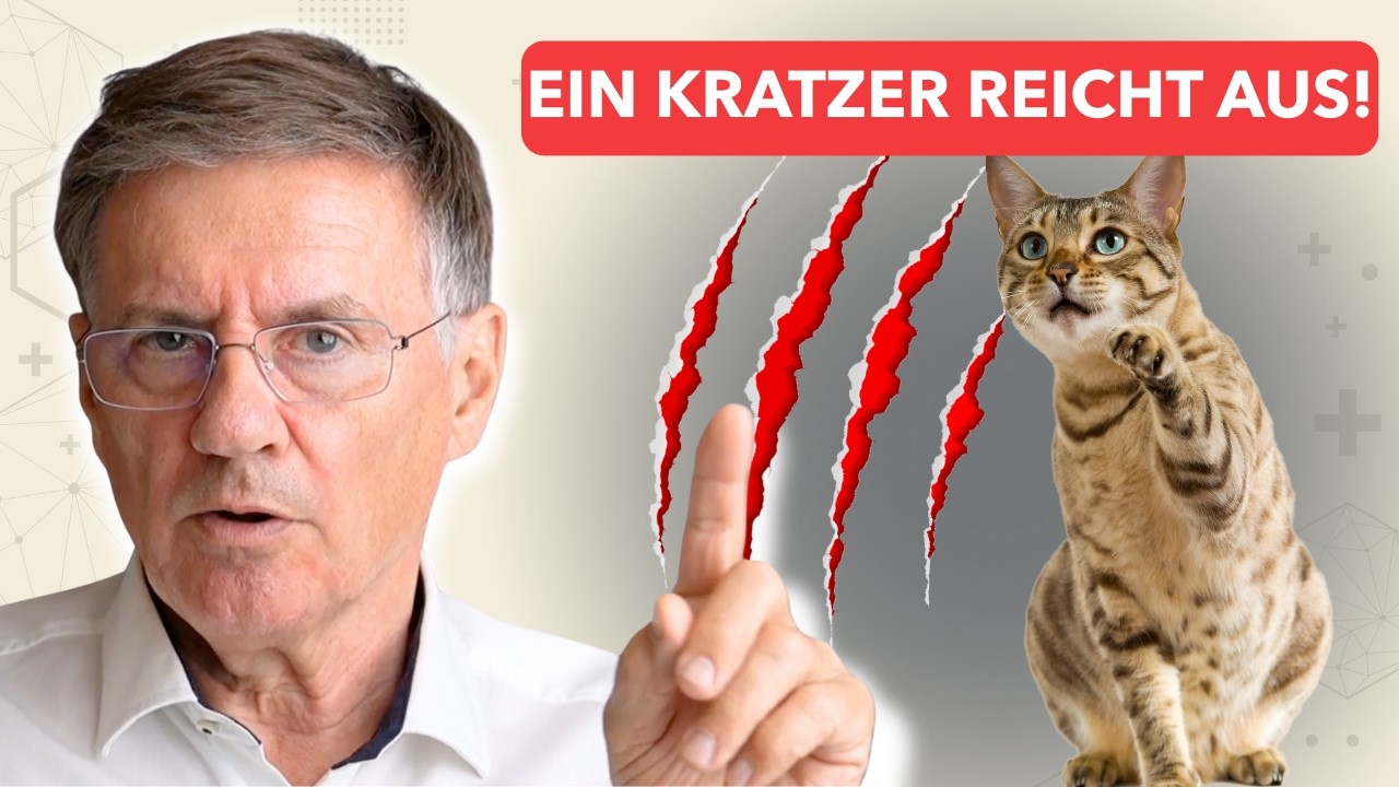 Ein Kratzer reicht – und dein Körper kämpft jahrelang!  | Die Wahrheit über Bartonellen