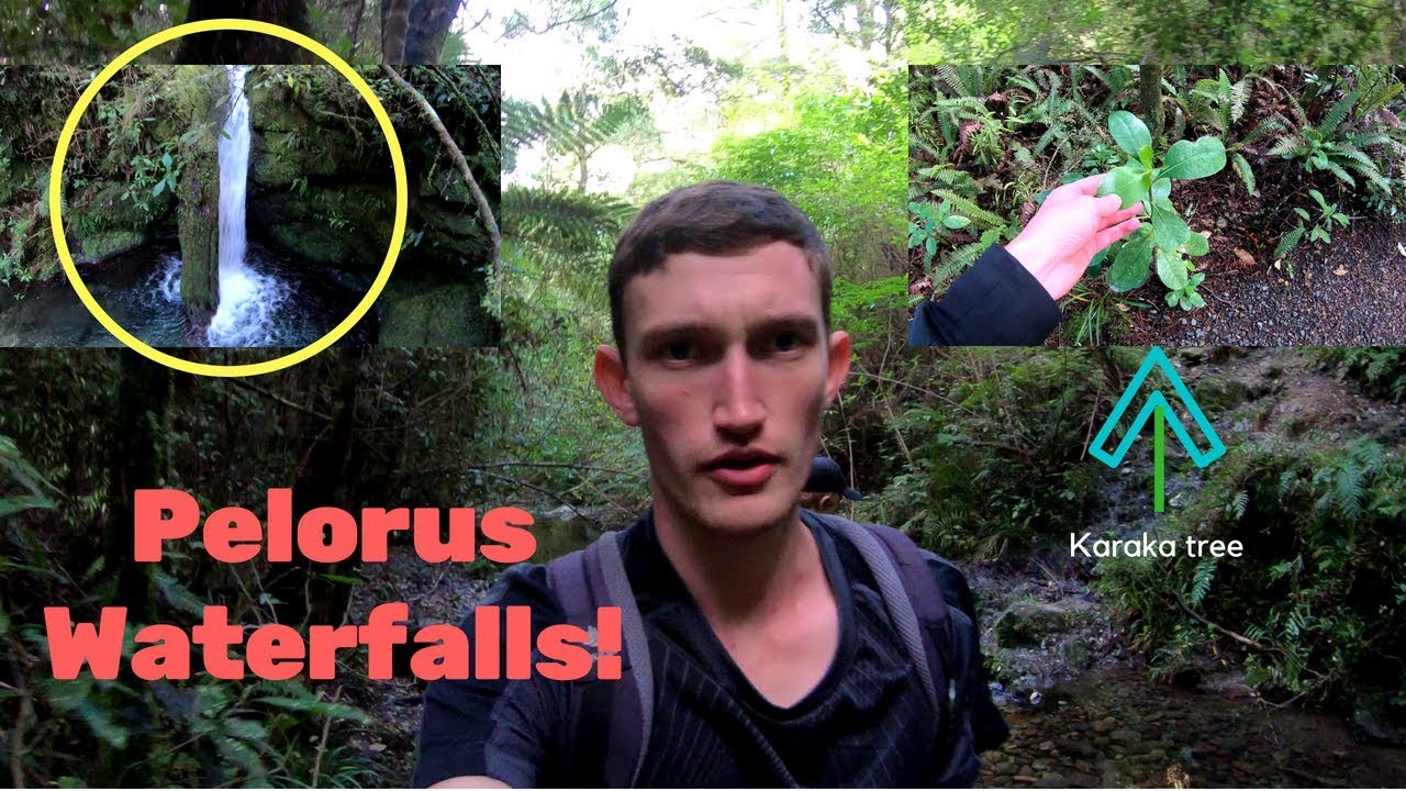 Exploring the Pelorus waterfalls in New Zealand