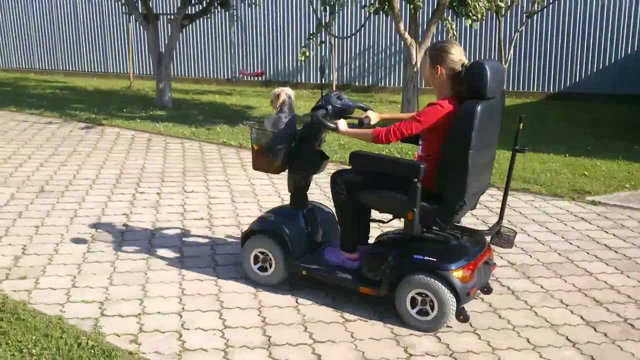 Invalidn&yacute; sk&uacute;ter od  Igoly  -  Invacare Orion