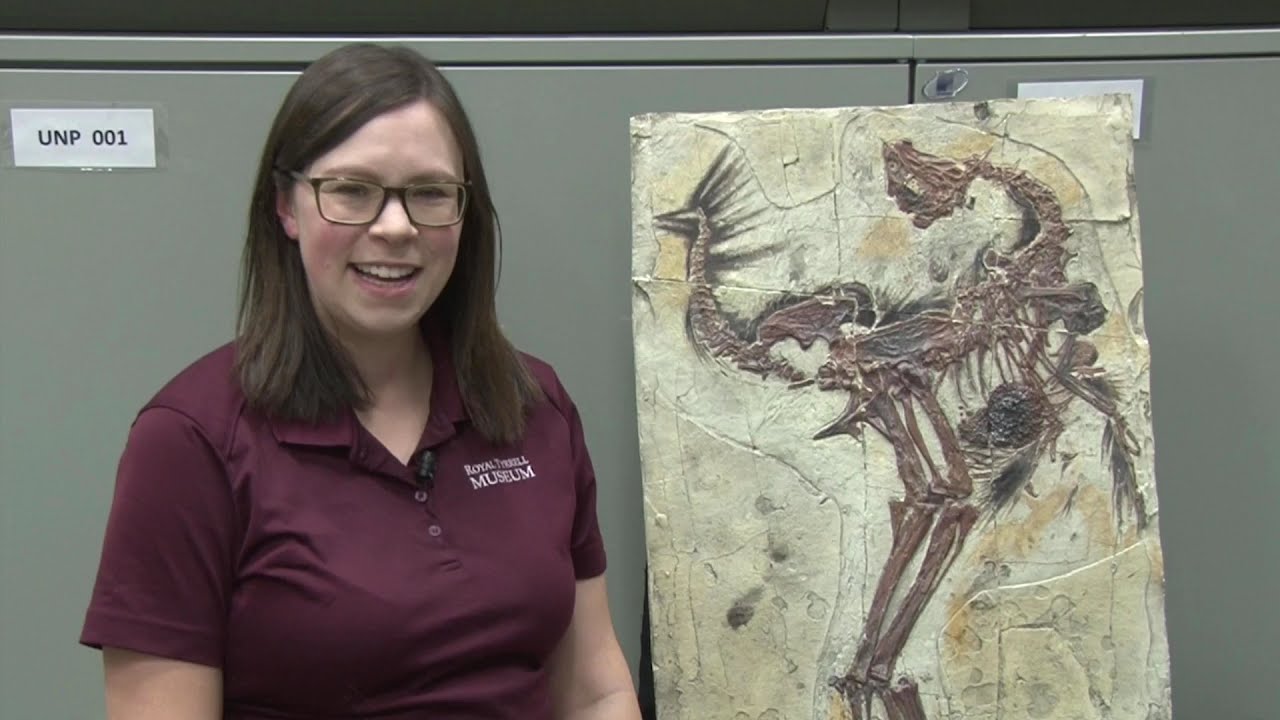 Cretaceous Q&A: 