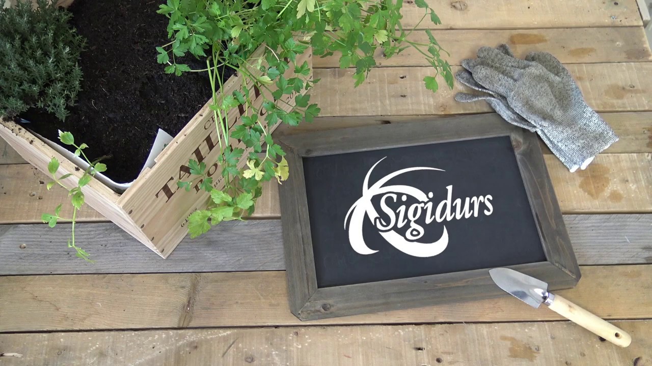TUTO réalisez son potager d'intérieur