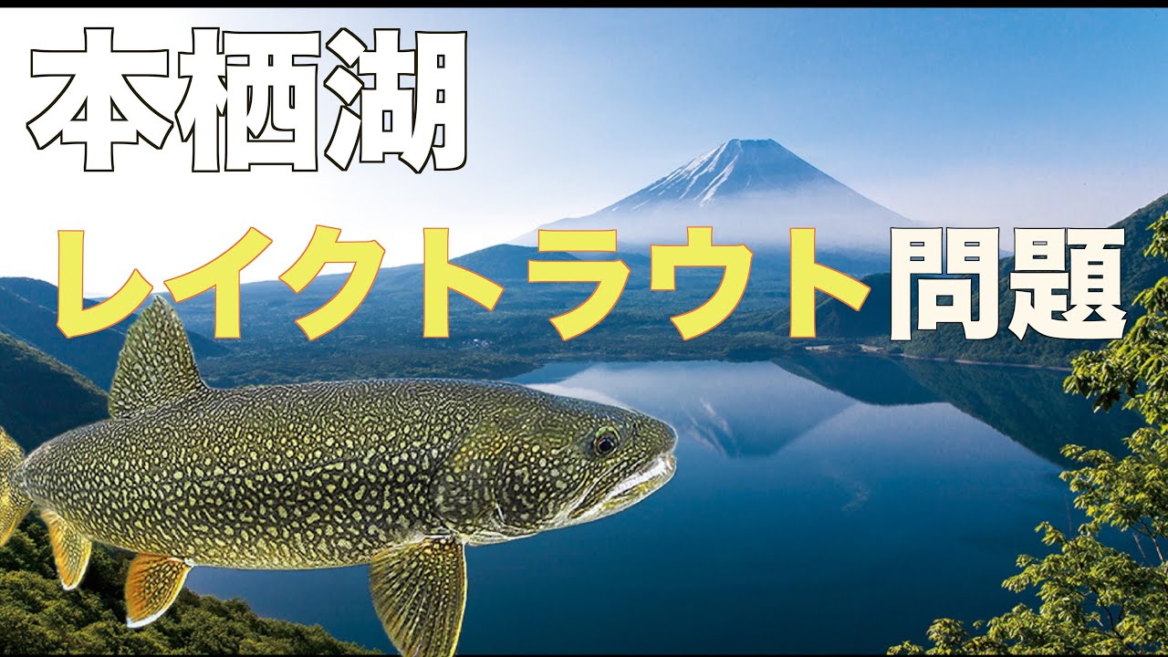 【外来種】本栖湖レイクトラウト問題に違和感！？