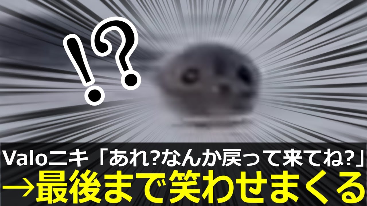 アザラシ幼稚園、BIG4が最後まで笑わせまくってしまう