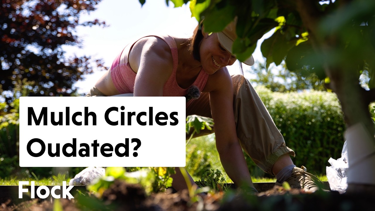Are MULCHED TREE CIRCLES a Thing of the PAST? Try This Instead — Ep. 321