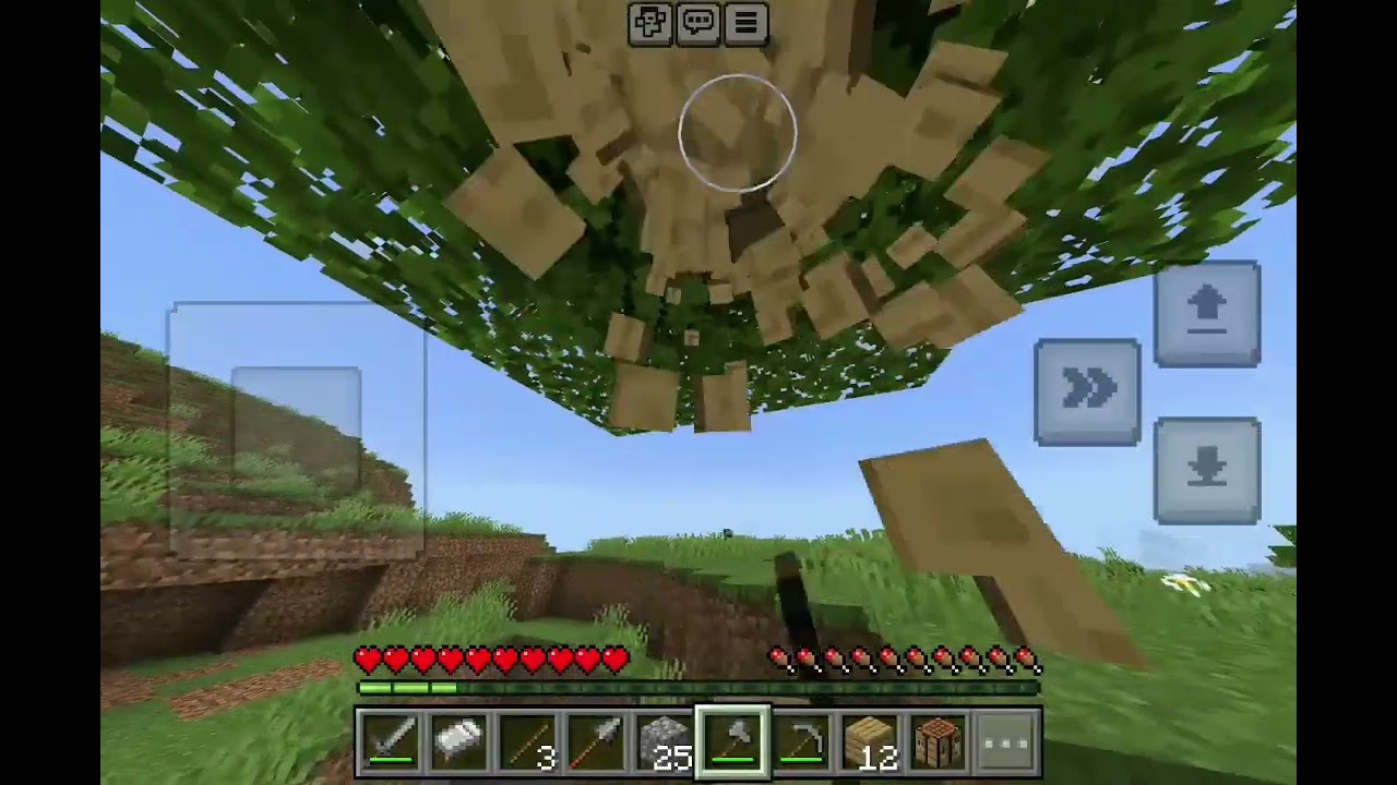 Bertahan hidup diminecraft