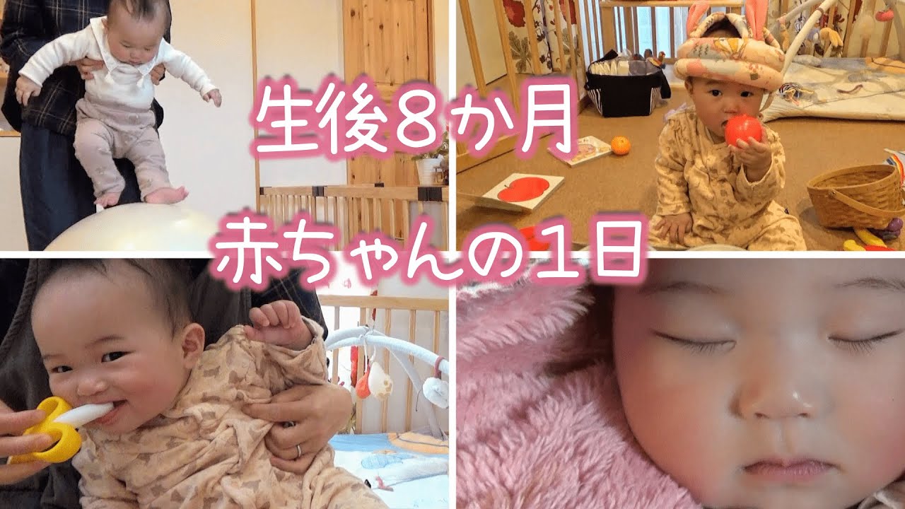 【生後8か月】赤ちゃんの一日！頭突きが止まらない
