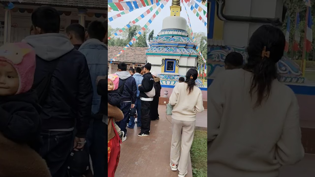 CG धाम घुमघाम, video