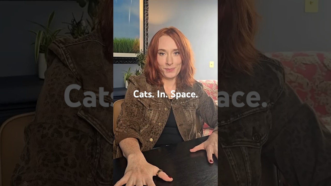 Cats. In. Space.