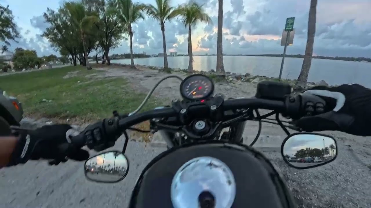 Harley Davidson Ride by the Water 🌊 | Short POV (No Talking)