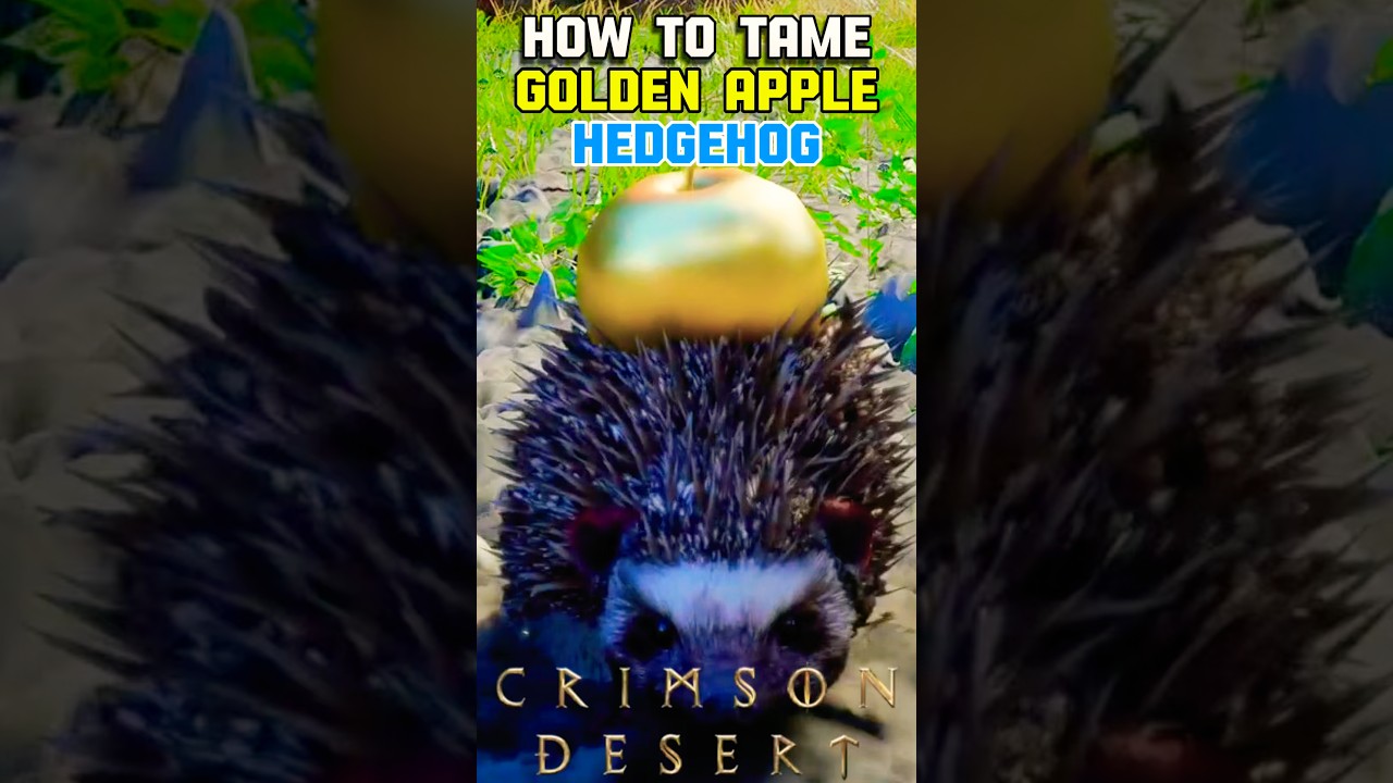 How to tame a golden apple hedgehog #youtubeshorts #shortvideo #crimsondesert #gaming