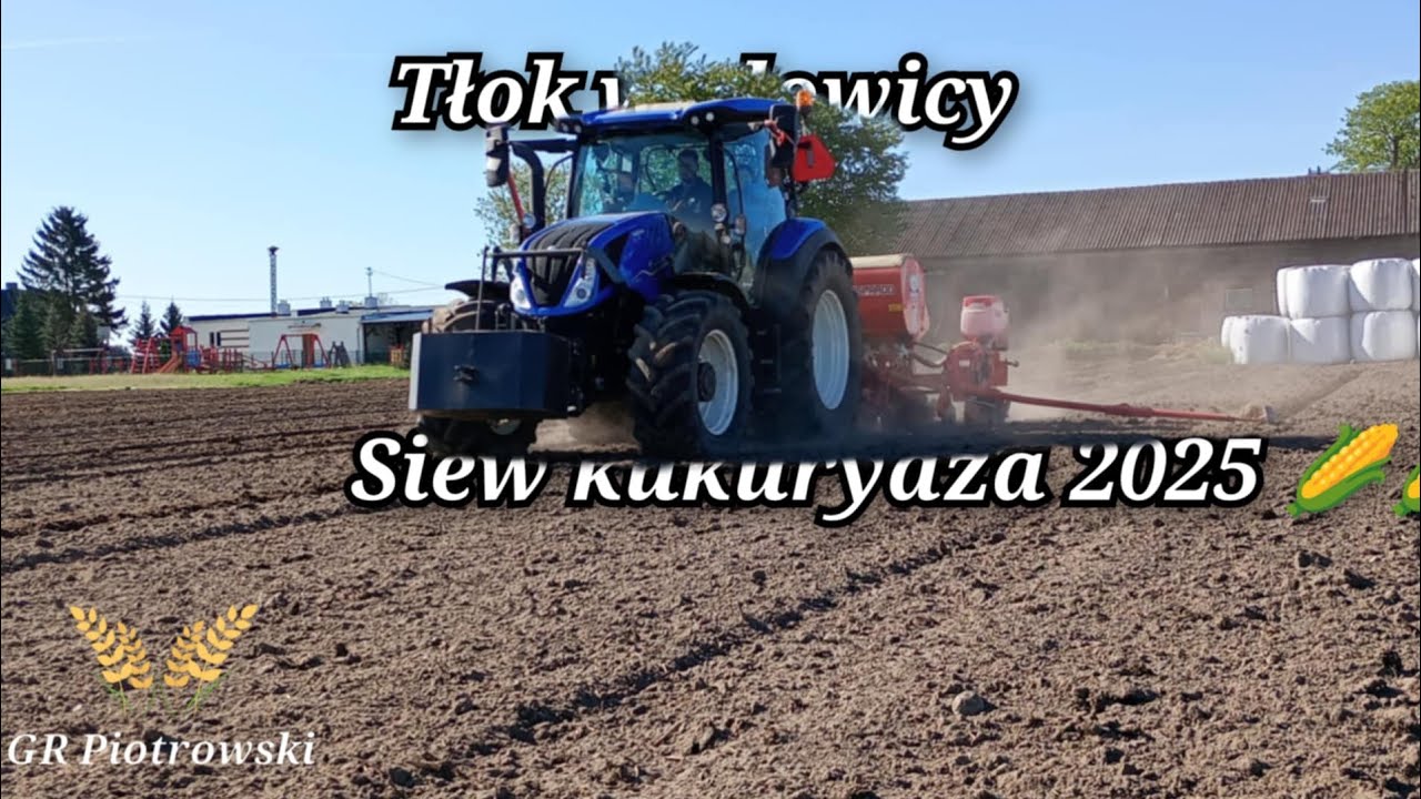 Siew kukurydzy 🌽🌽🌽 w akcji new Holland T5.110 & Maschio gaspardo mtr 6.         #kukurydza #Holland