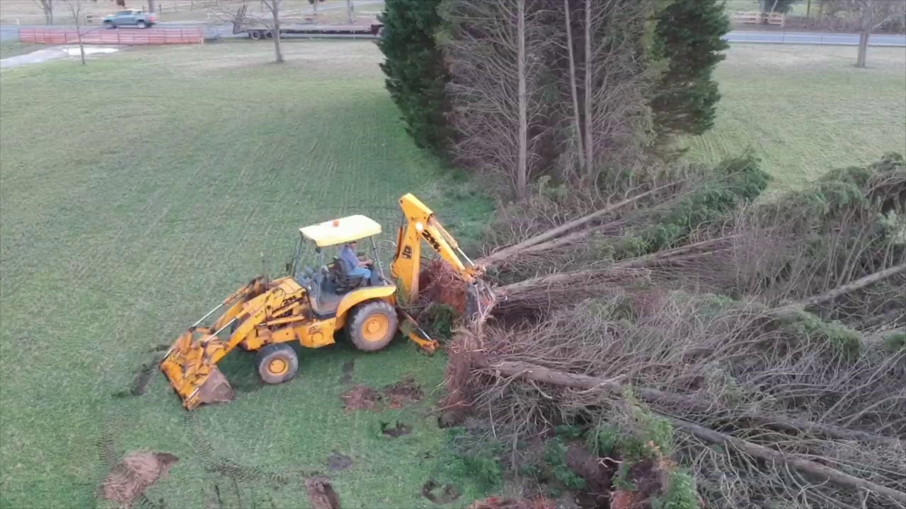 #slcfarms #jcb #treeremoval                              Pushing Down Trees With The JCB 214 Backhoe