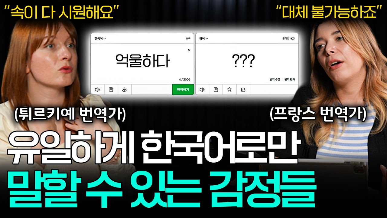 외국인들이 한국인들의 감정 표현에 놀라는 이유ㅣ세상을 번역하다📖 EP.20