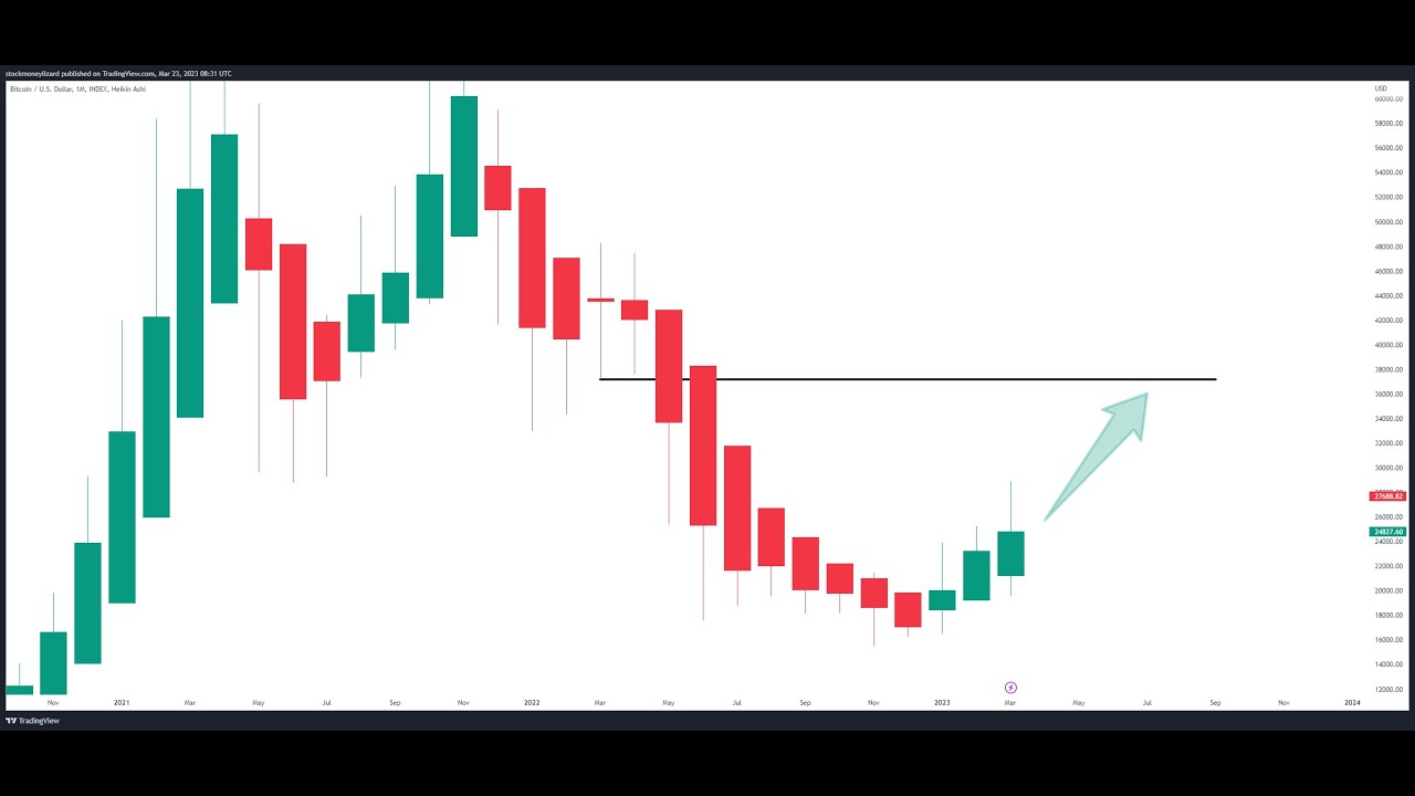 Stockmoney Lizards weekly update on bitcoin and crypto - Nr. 6