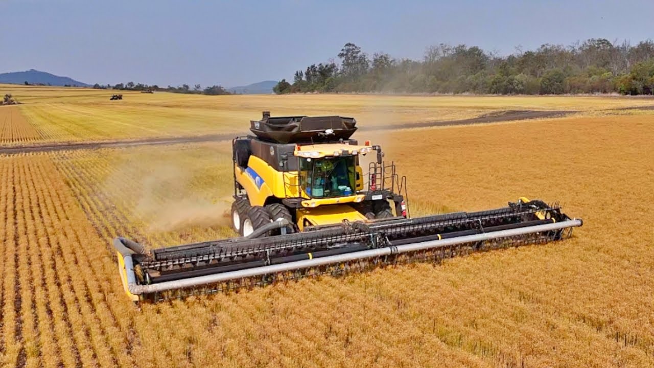 Harvesting Linseed with a VIEW! | Farming in Australia | Harvest 2023 | Vlog 225
