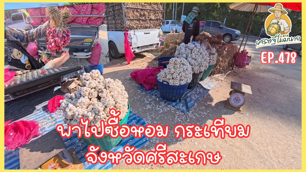 พาไปซื้อหอม กระเทียมจังหวัดศรีสะเกษ/เศรษฐี ไม่มีนาย EP.478
