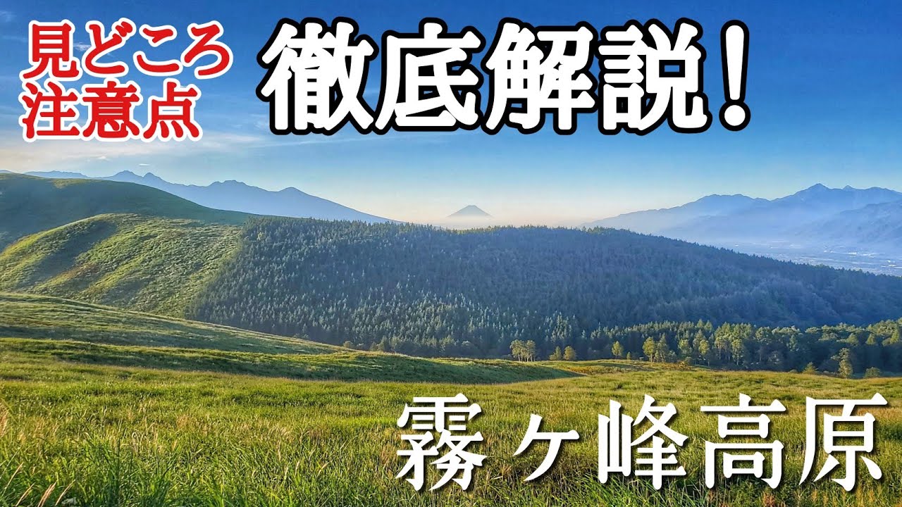 【霧ヶ峰高原・徹底解説！】車山～八島ヶ原湿原の見どころ・注意点教えます。