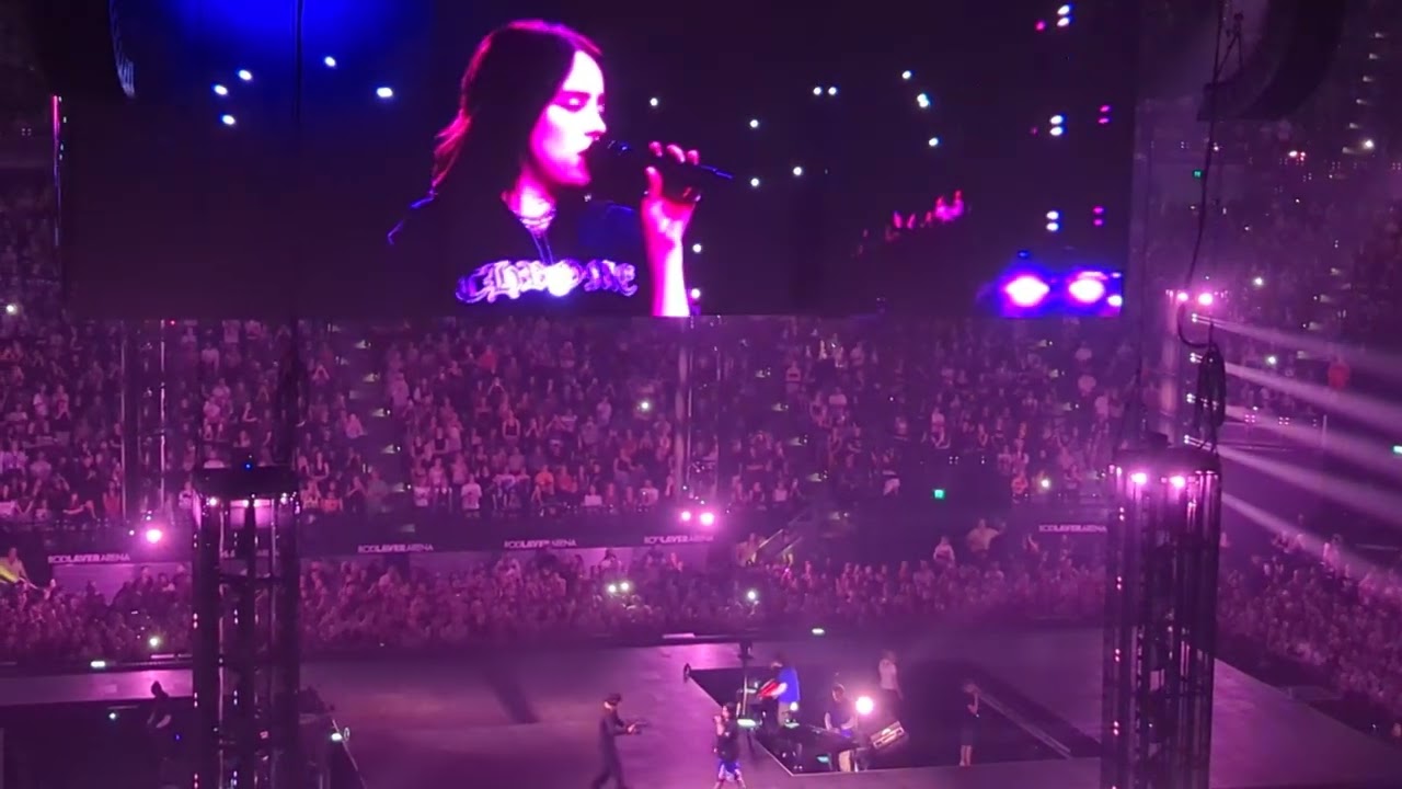 Billie Eilish - What Was I Made For (Live 2025 Melbourne)