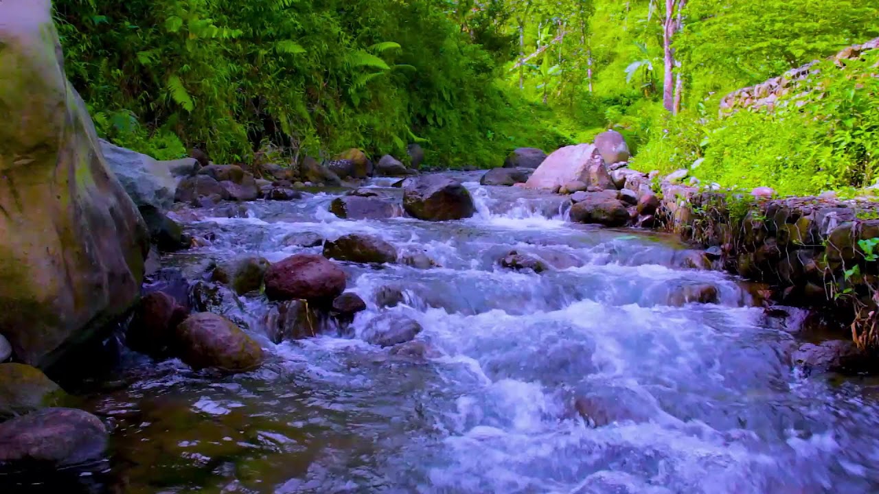 Mountain River Deep Sleep Therapy | Relaxing Nature White Noise Water Sounds