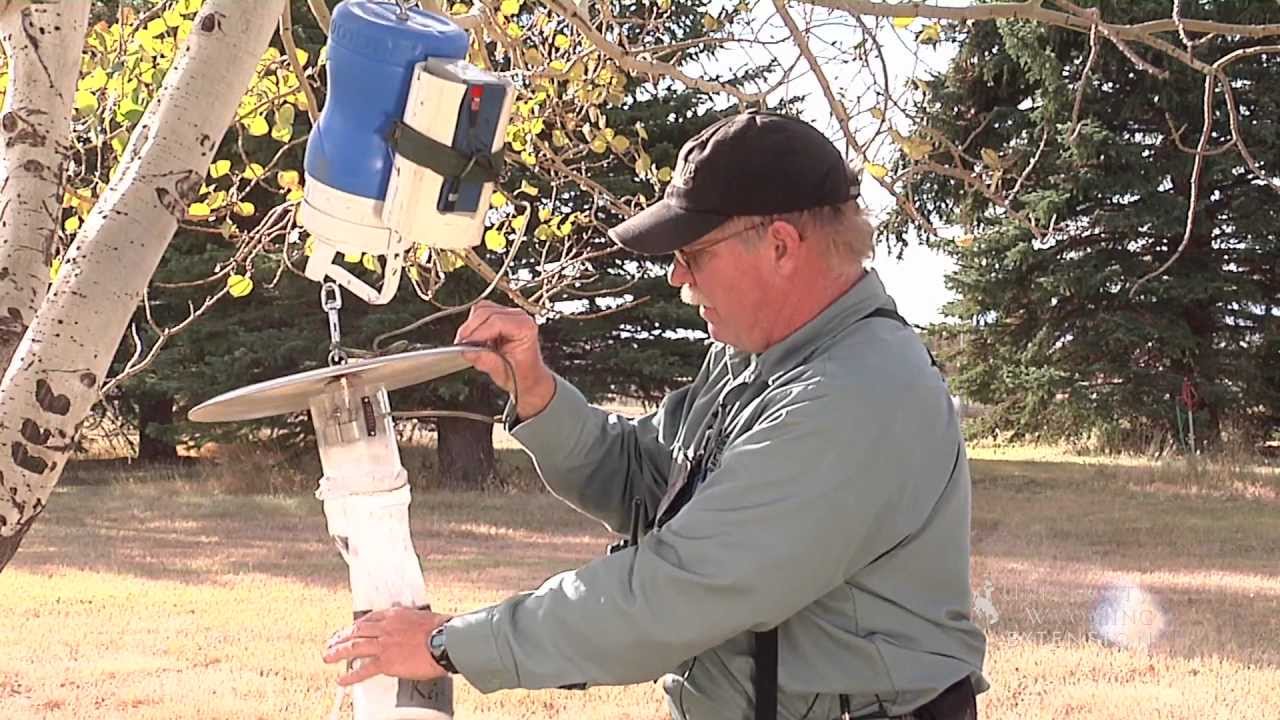 Setting CDC trap