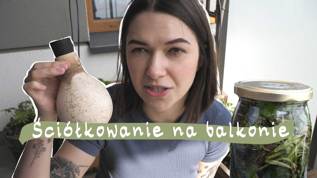 Tydzień na balkonowym ogrodzie | ściółkowanie i pokrzywa | Czerwiec | Rejestruje