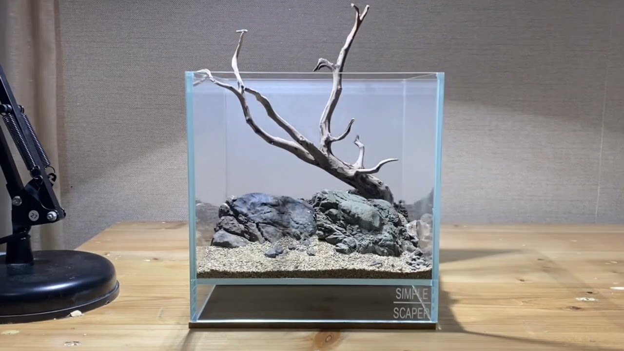 AQUASCAPE TUTORIAL : LOW TECH NO CO2 NANO CUBE TANK 20x20x20