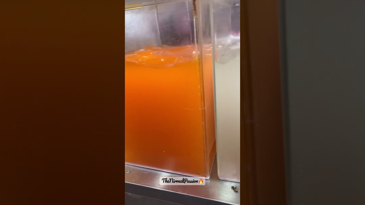 Lemon🍋 Slush Or Orange🍊 Slush😋🔥 #shorts #viral #youtubeshorts #streetfood #thenirmalpassion