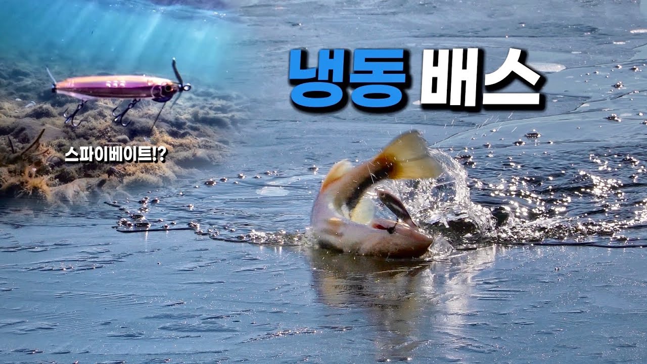 냉동배스가 원하는 새로운 파동? 얼음 물속 스쿨링 발견! [with 신현민]