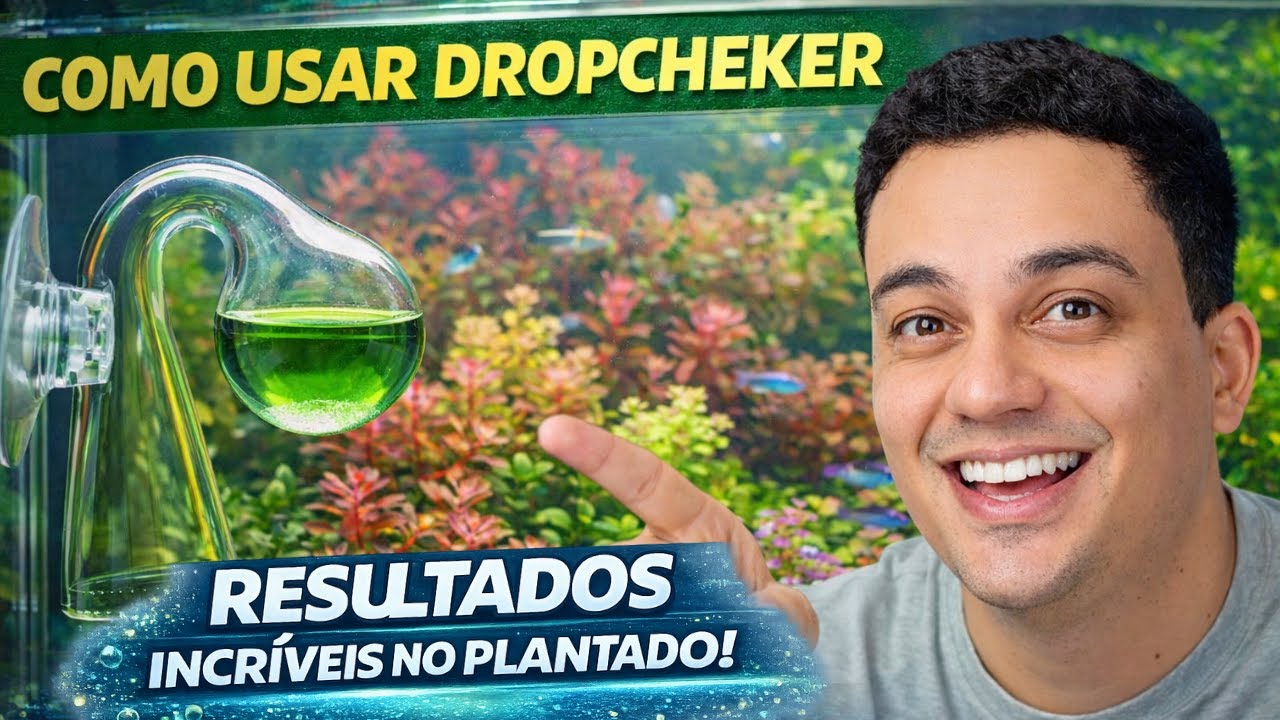 Como Usar o Drop Checker no Aquário | Solução Indicadora de CO₂ Passo a Passo