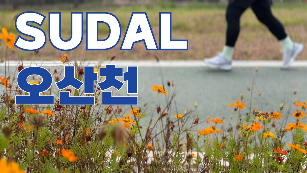 SUDAL osan river 2025