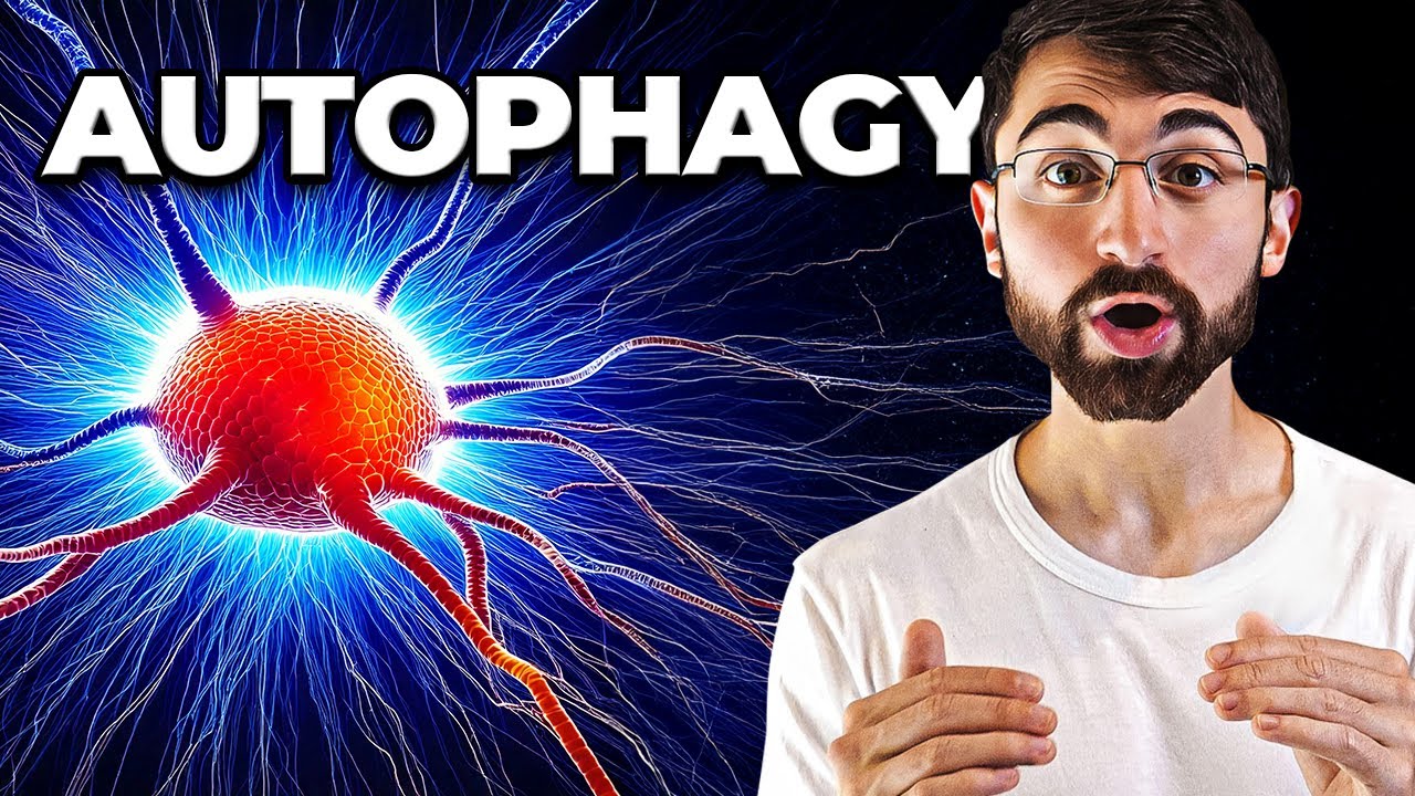 The Shocking New Neuroscience Behind Depression and Chronic Stress