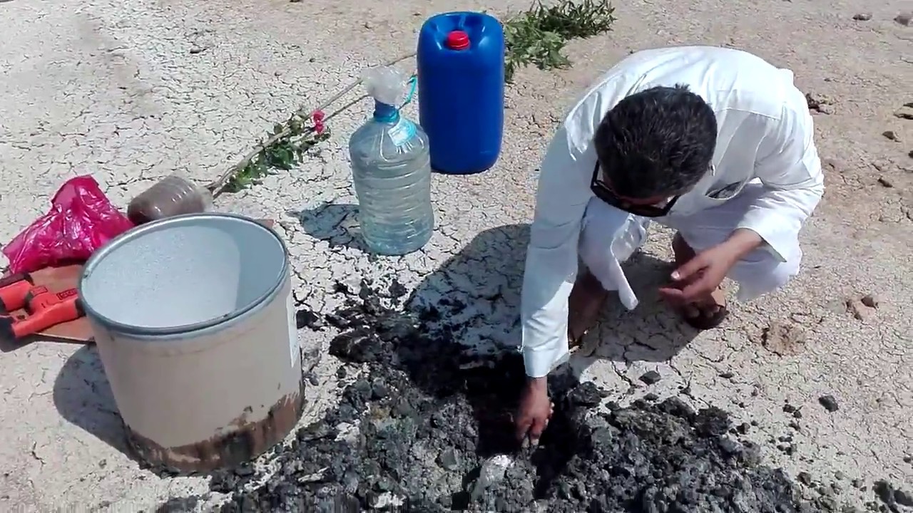 تجربة زراعة الصبخة المالحة جدا