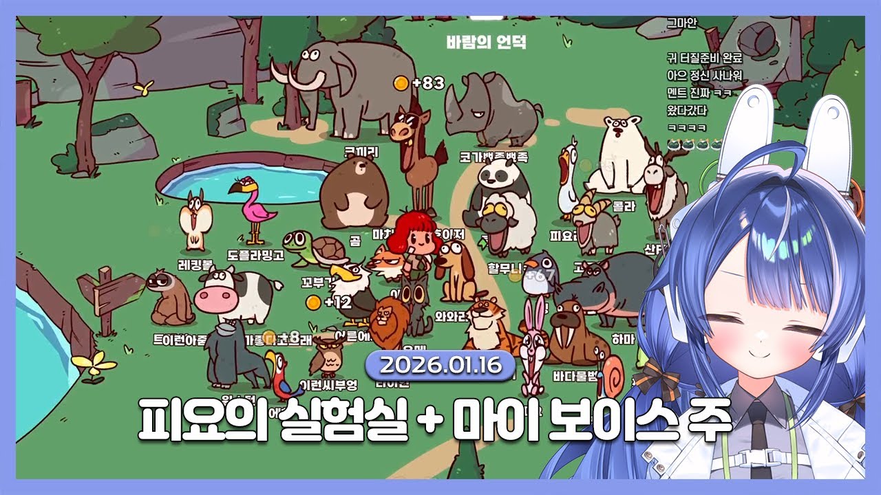 [2026.01.16 / 피요의 실험실 + 마이 보이스 주] 귤을 김에 싸 먹으면 무슨 맛이 날까??