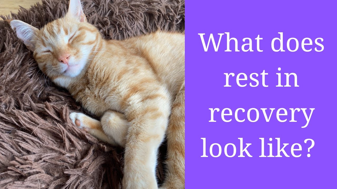 What rest REALLY looks like in recovery...