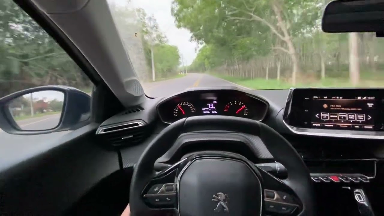 Peugeot 208. 5 pontos negativos. Opinião do dono!!