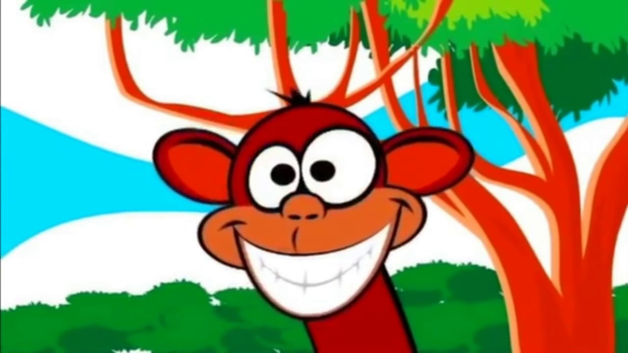 O MACACO