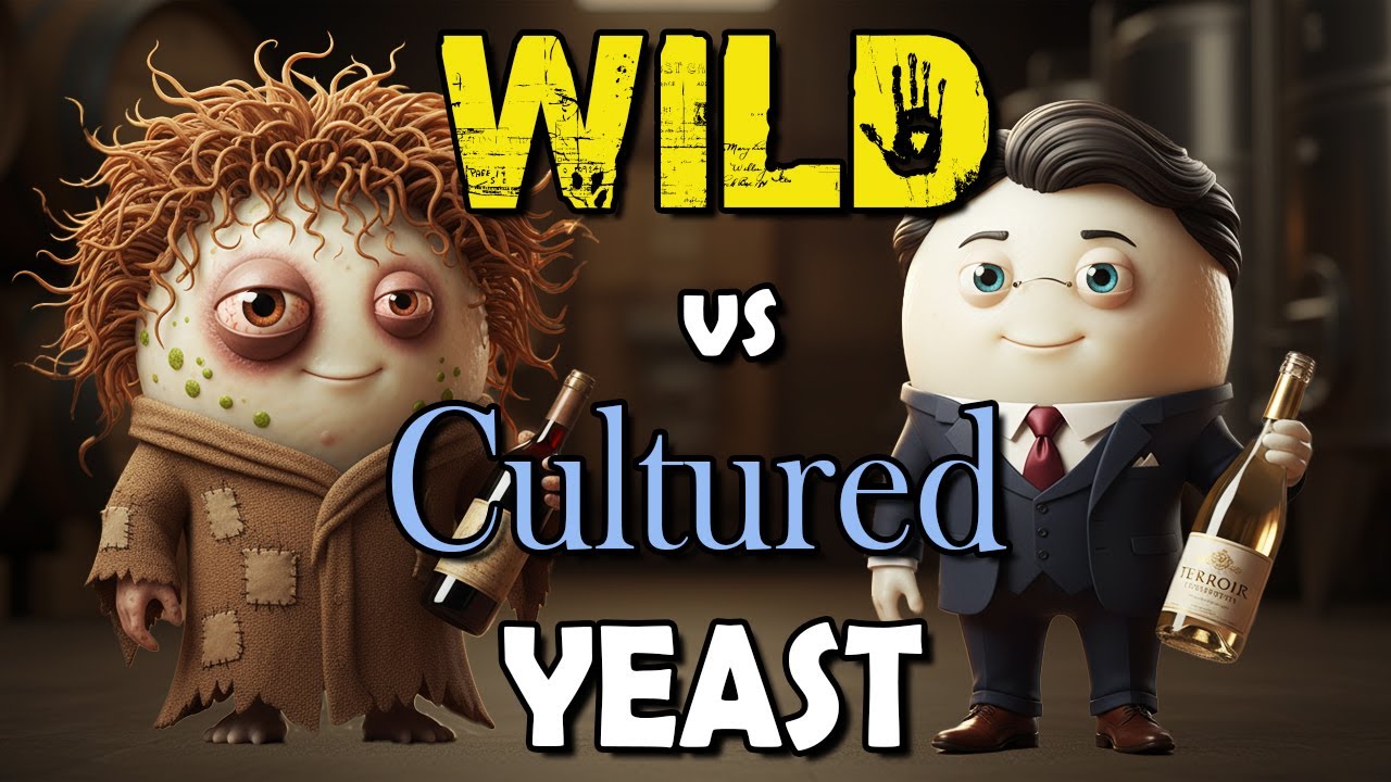 Wild Yeast Vs Commercial Yeast for Making Alcohol