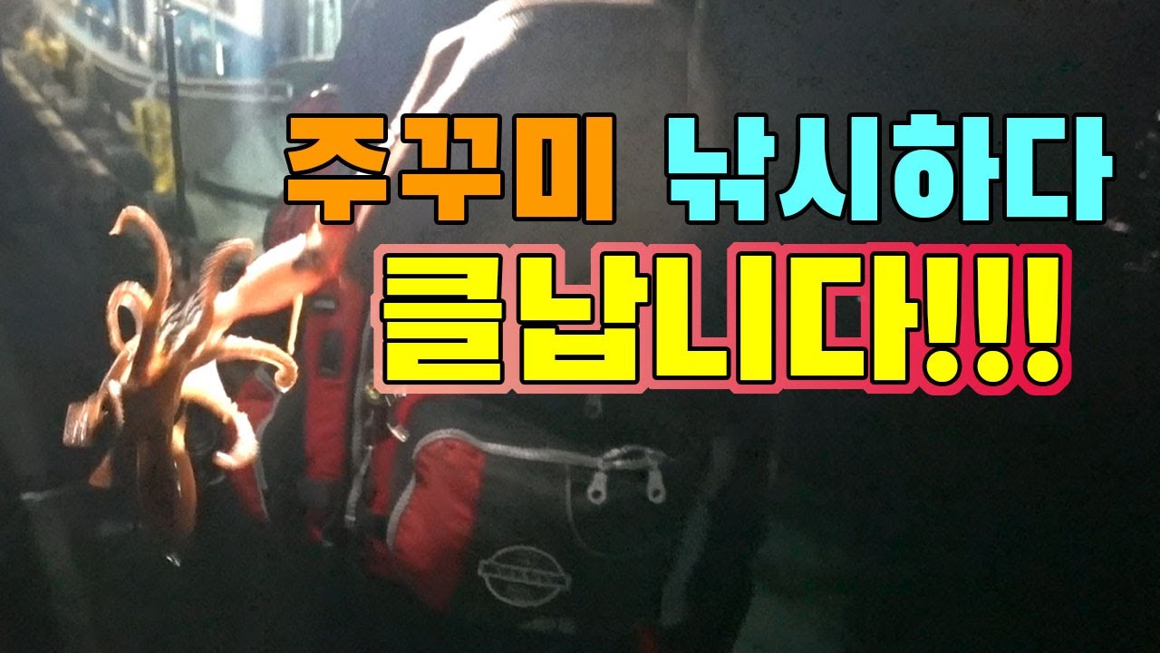 동해 쭈꾸미 현주소 !!!  워킹낚시 하다가 클날뻔.../ Webfoot octopus  Korea East Sea coast fishing