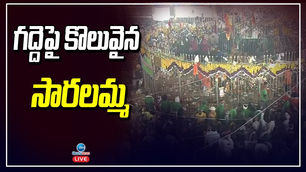 LIVE: Medaram Jatara 2024 | Sammakka Saralamma | జన సముద్రంగా మారిన మేడారం | ZEE Telugu News
