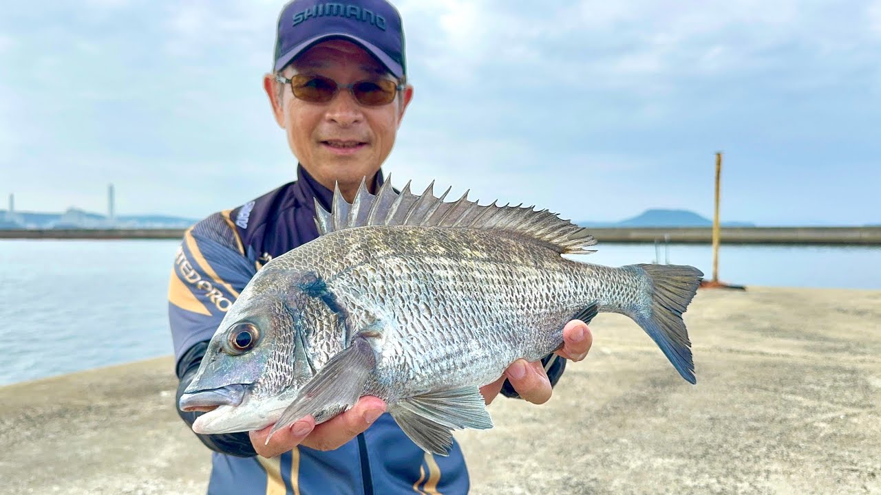 【伊万里湾】大人気のあの釣りへ‼︎その前にチヌでも釣ってくか‼︎