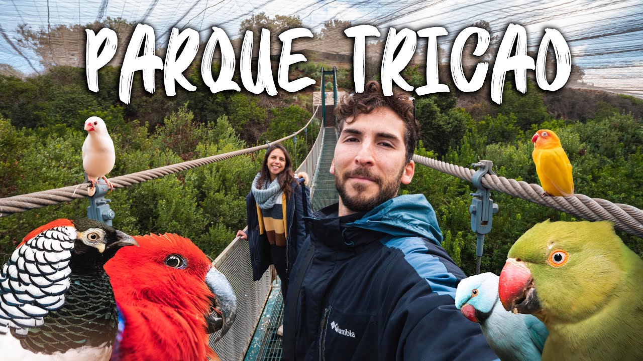PARQUE TRICAO - 4K UHD - El Aviario más grande de Sudamérica