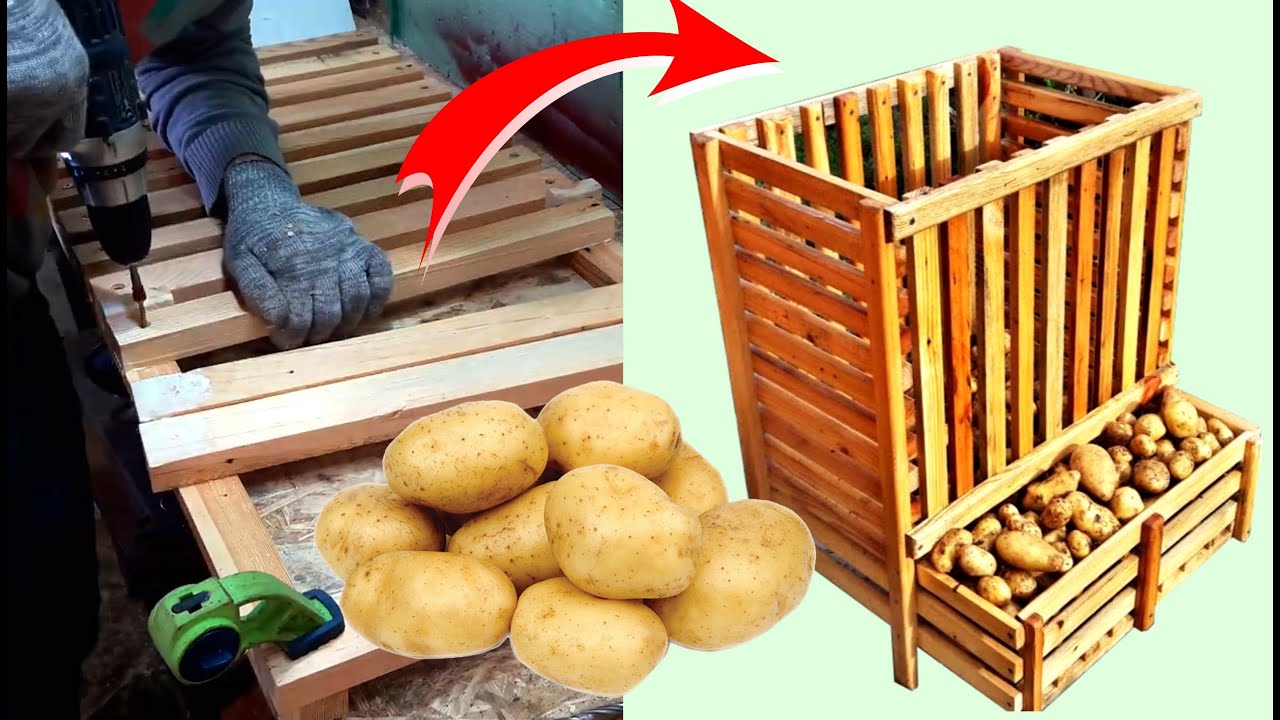 Fabriquer une CAISSE EN BOIS pour Conserver les POMMES DE TERRE toute l’année