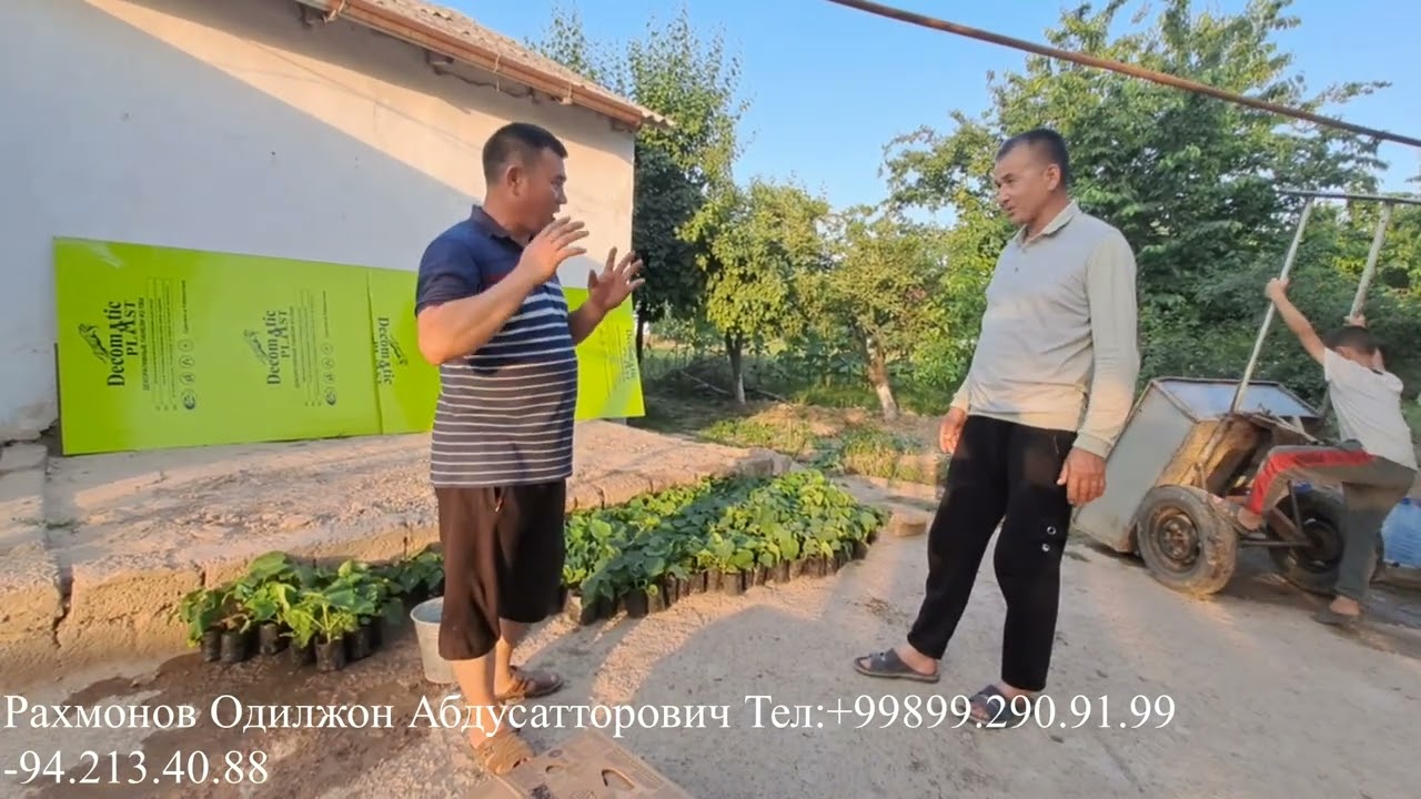 ПАВЛОВНИЯ ДУНЁСИ 14.05.2023